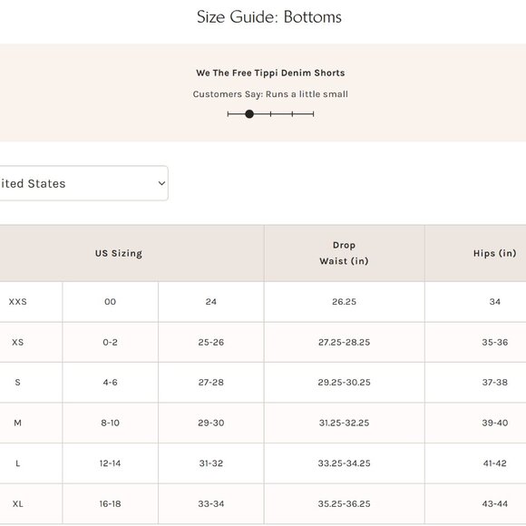 NWT Free People Tippi Denim Shorts in Slumber - Picture 5 of 5